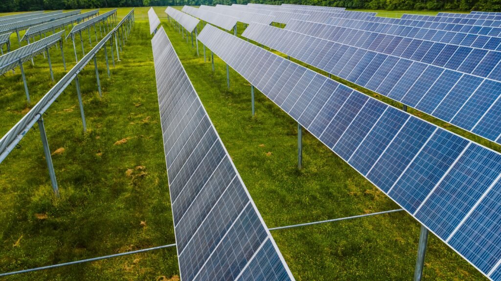 Environment & Sustainability